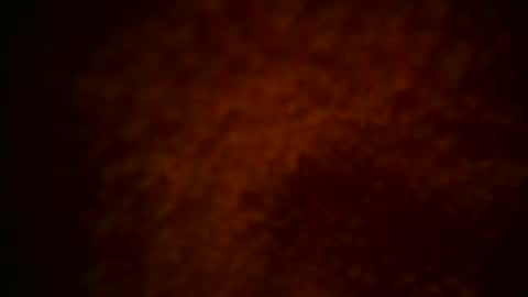 samueltal online show from 12/15/25, 10:14