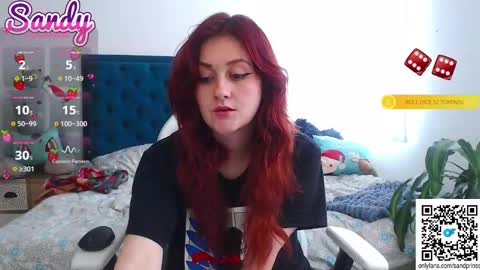 Sandy Prinss online show from 12/02/24, 06:54