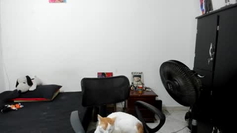 Julius Novachrono  online show from 07/17/26, 06:09