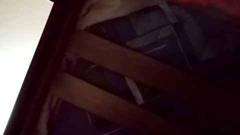 santigalvis1923 online show from 06/12/26, 02:54