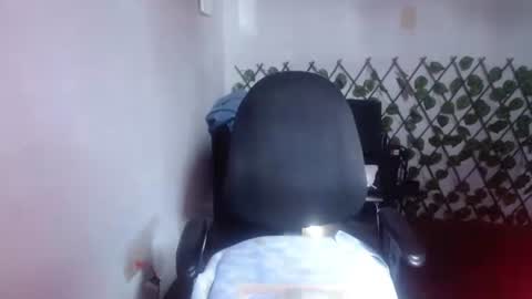 tania online show from 07/24/26, 08:40