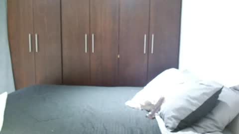 Snapshot of santti_torres chatting on 06/07/26, 04:27 Santy Torres online show from 06/07/26, 04:27