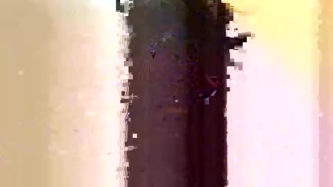Sara online show from 06/07/26, 03:10