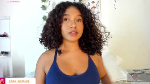 Snapshot of sara_sophiee chatting on 12/14/24, 02:12 sara sofia online show from 12/14/24, 02:12
