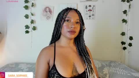 Snapshot of sara_sophiee chatting on 01/24/25, 01:13 sara sofia online show from 01/24/25, 01:13
