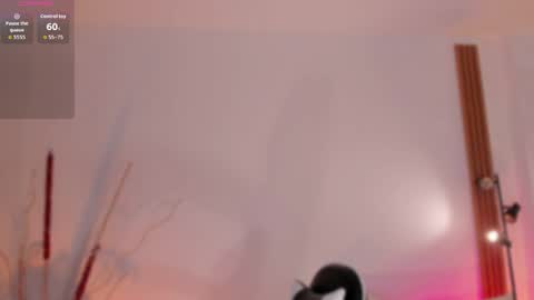 Snapshot of saracavali chatting on 04/13/26, 03:06 sara cavali online show from 04/13/26, 03:06
