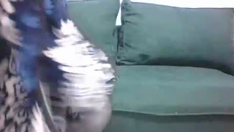 Snapshot of sarah_haggai chatting on 11/04/25, 04:11 sarah_haggai online show from 11/04/25, 04:11