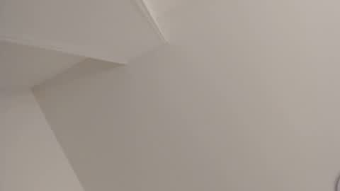  online show from 02/11/25, 11:10
