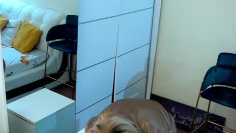 Sasha online show from 07/13/26, 05:49