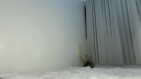 sassykayla online show from 05/15/26, 01:07