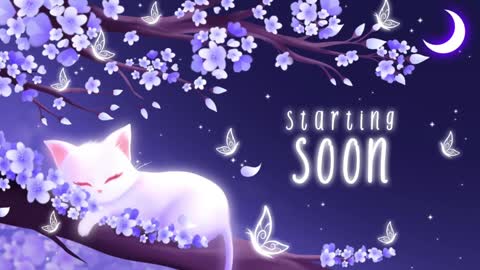 Sassy Sami Kittyn online show from 01/03/25, 06:11