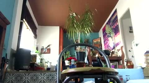 Snapshot of satur850 chatting on 12/05/24, 09:17 satur850 online show from 12/05/24, 09:17