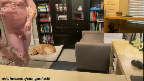 Saul Goode online show from 01/30/25, 11:13