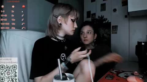 Snapshot of say_mary chatting on 09/21/25, 12:23 pronoun she. name Mary. age 21. online show from 09/21/25, 12:23