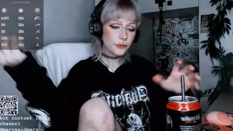 Snapshot of say_mary chatting on 10/13/25, 12:10 pronoun she. name Mary. age 21. online show from 10/13/25, 12:10