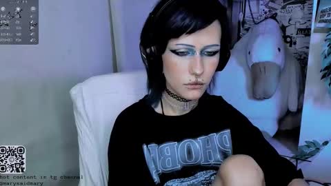 Snapshot of say_mary chatting on 10/30/25, 03:46 pronoun she. name Mary. age 21. online show from 10/30/25, 03:46