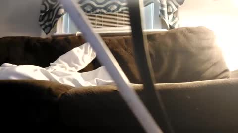 sayhi2mylilguy online show from 02/27/25, 07:15