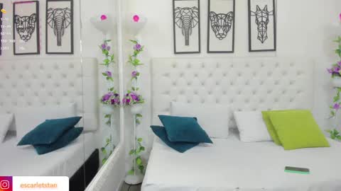 Snapshot of scarlet_stan22 chatting on 12/12/24, 10:56 Isa online show from 12/12/24, 10:56