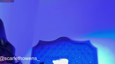 Snapshot of scarleth_owens1 chatting on 12/29/24, 09:50 online show from 12/29/24, 09:50