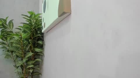 Scarlett 3 online show from 12/02/25, 03:12