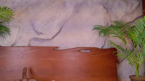 scarlettsinclaiir_ online show from 06/08/26, 04:02