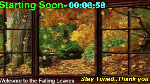 ...PHIL... online show from 11/10/25, 01:04