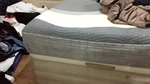 scubi007 online show from 11/02/25, 10:12