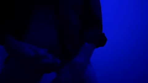 SeanWadGodDamn online show from 10/13/25, 05:40