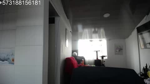 Snapshot of sebastian_posse chatting on 12/17/25, 05:52 Myystiic online show from 12/17/25, 05:52