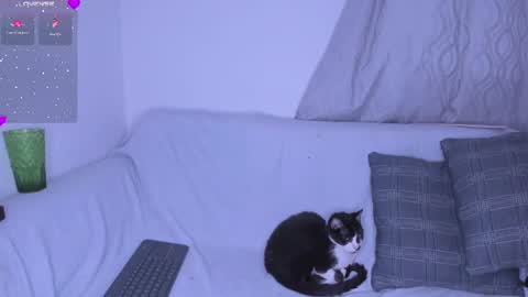 Selene Noire online show from 07/27/26, 11:23