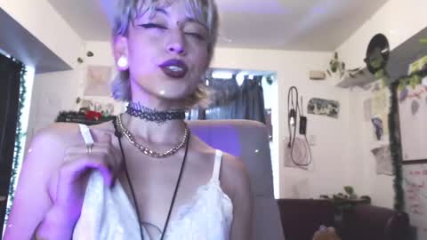 Snapshot of seley222 chatting on 12/23/24, 04:06 Ask me online show from 12/23/24, 04:06