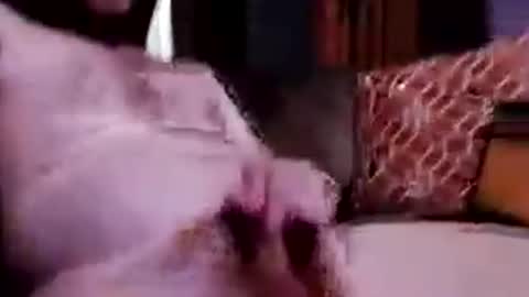 Chris my ass online show from 06/26/26, 01:10