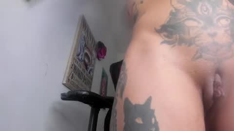 Snapshot of selina_kyl3 chatting on 01/06/25, 12:37 Selinna Kyle online show from 01/06/25, 12:37