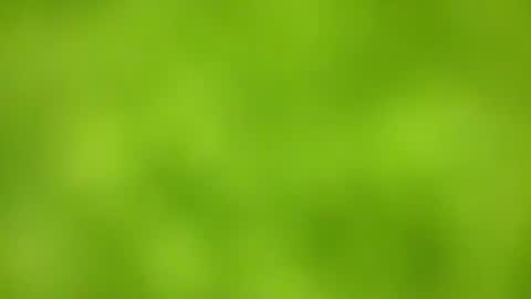 Snapshot of sens3439 chatting on 11/24/25, 08:36 sens3439 online show from 11/24/25, 08:36