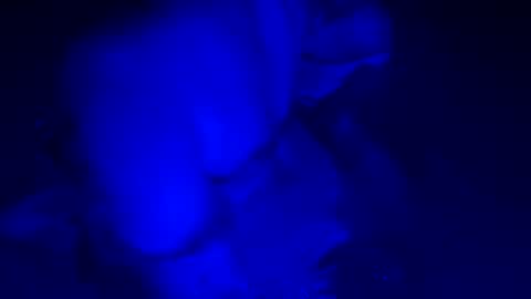 sensualsilhoutte online show from 07/11/26, 04:04