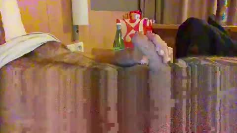 serialfucka69 online show from 10/27/25, 06:56