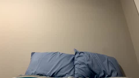 Snapshot of sethbear8963 chatting on 12/31/24, 01:47 SethBear online show from 12/31/24, 01:47