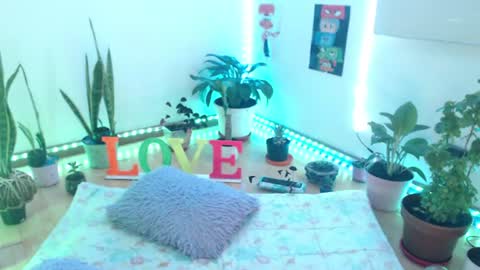 samy online show from 06/13/26, 02:53