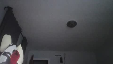sexbrute online show from 05/17/26, 01:03