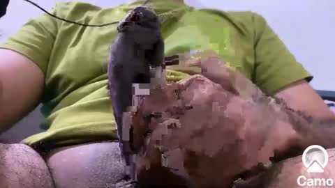 sexmachine4ubabes online show from 12/09/24, 03:50