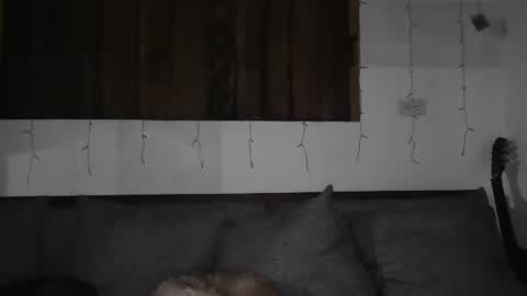 Snapshot of sexnchocolate chatting on 01/11/25, 05:41 Trixy Rose online show from 01/11/25, 05:41