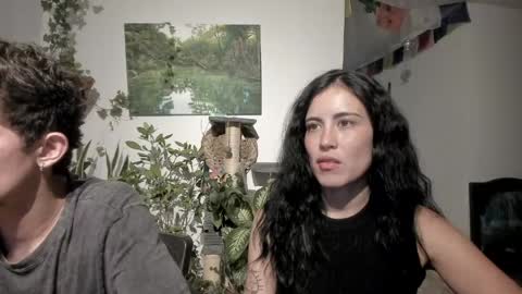         online show from 05/11/26, 08:06