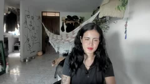         online show from 05/12/26, 09:12