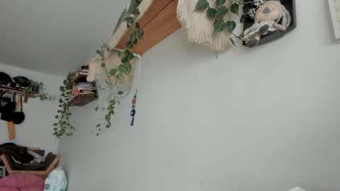         online show from 06/06/26, 06:23