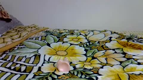 sexxyref_ online show from 03/08/25, 11:48