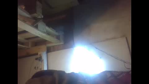 sexy15802 online show from 12/21/24, 02:04