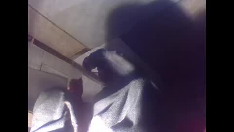 sexy15802 online show from 01/04/25, 07:03