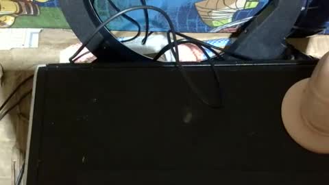 sexy_candy9 online show from 05/19/26, 03:46