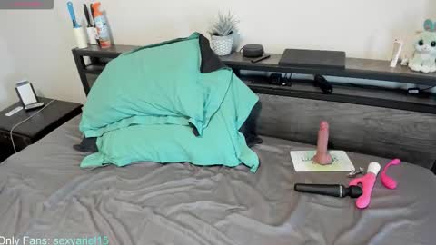 SexyAriel15 online show from 10/22/25, 04:51