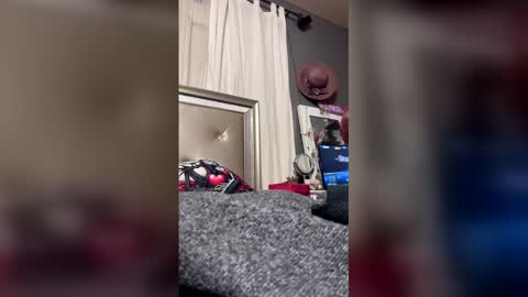 sexybbwqueen83 online show from 12/17/25, 08:31